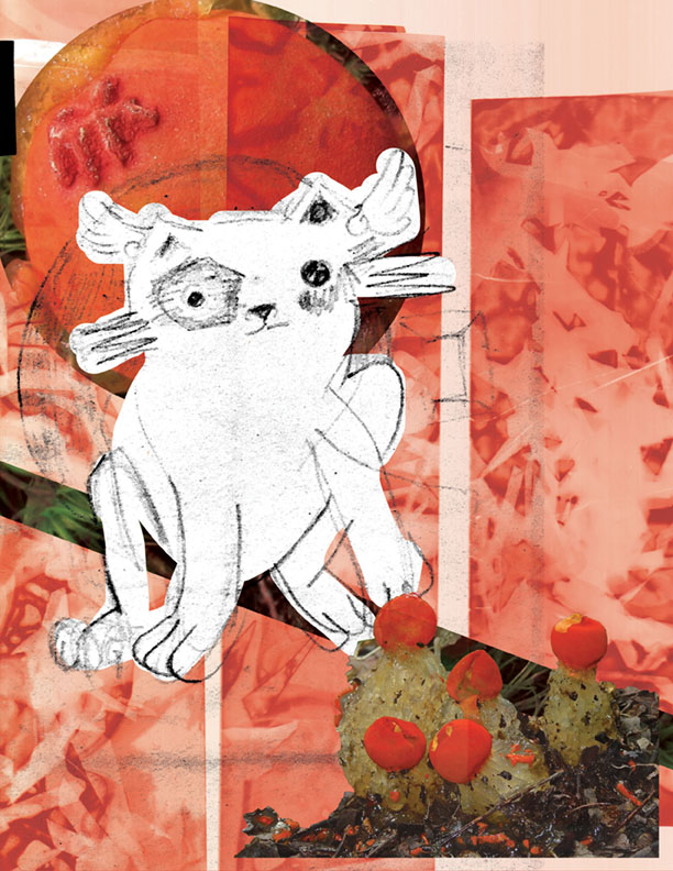 Description of the image for screen readers